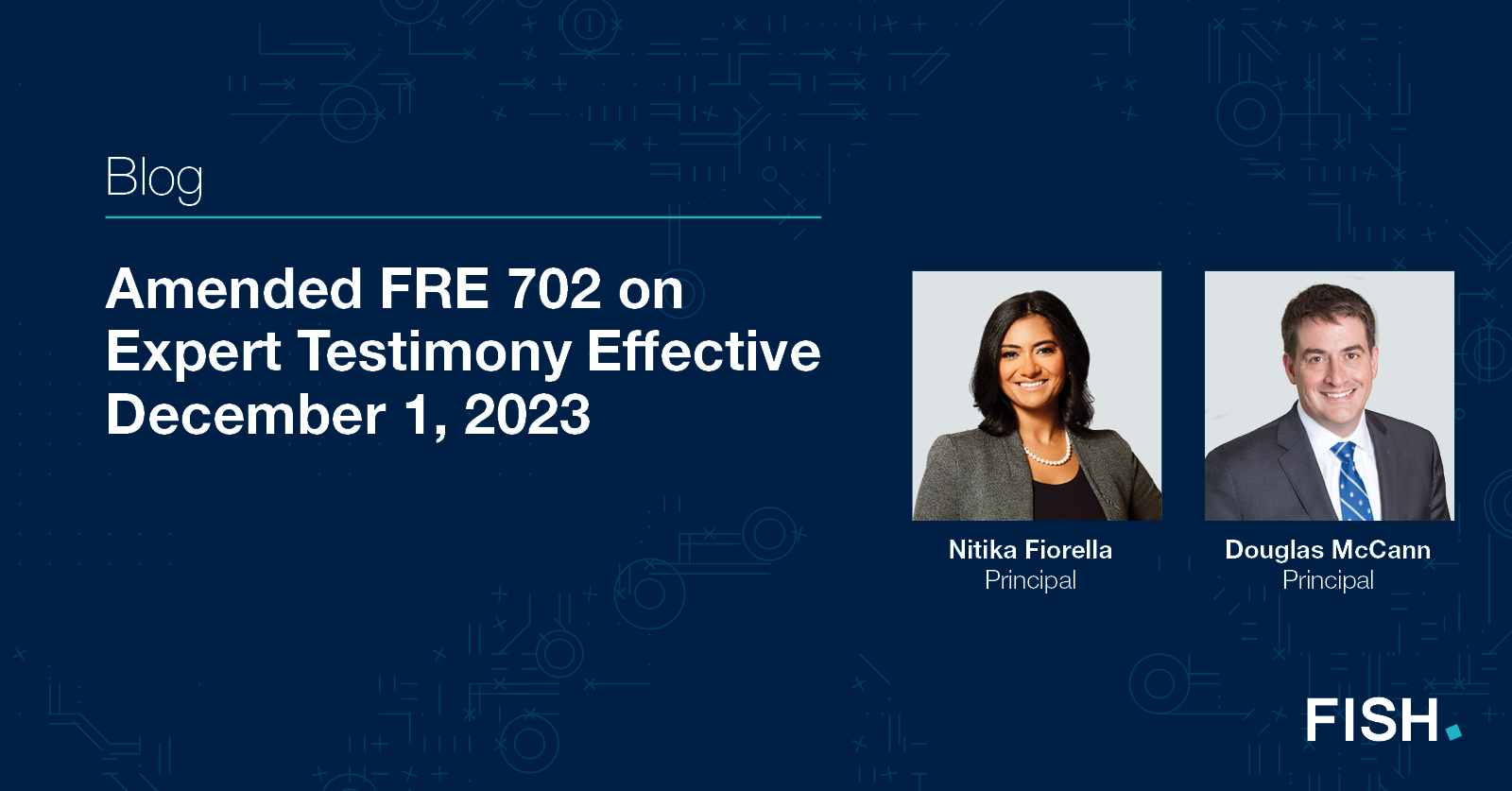 Amended FRE 702 on Expert Testimony Effective December 1, 2023
